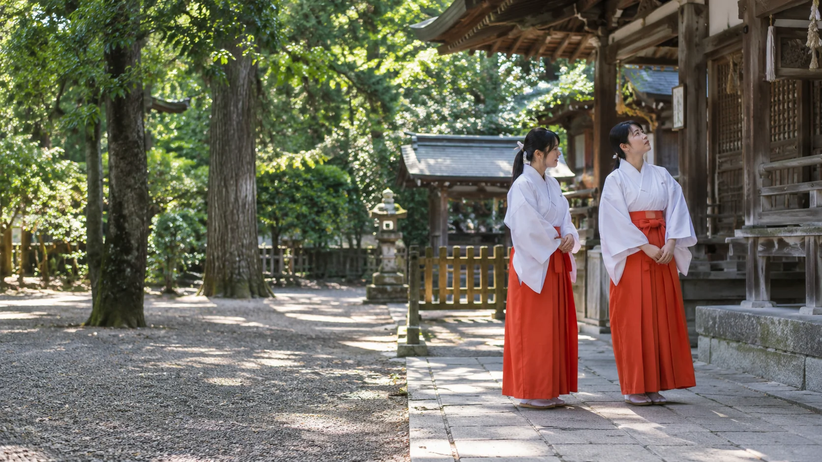 木々に囲まれた神社の境内で、建築を見ながら対話する巫女装束の二人